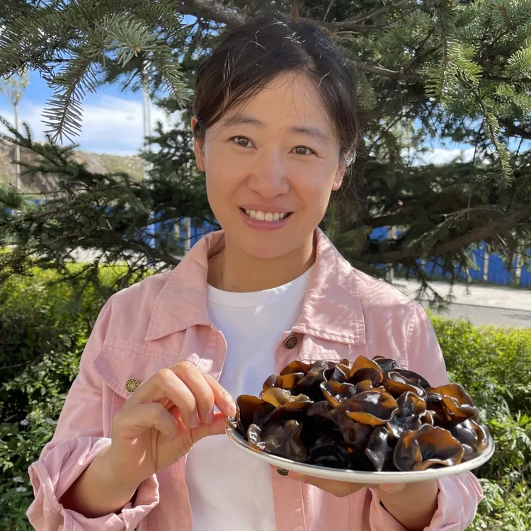 东北黑龙江东宁产黑木耳白木耳