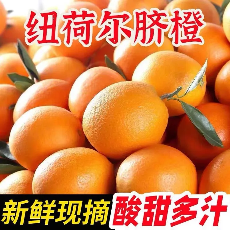 【品质甜橙】重庆奉节纽荷尔脐橙现摘现发新鲜水果榨汁5斤大果橙子