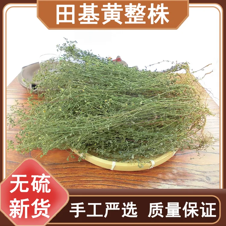 广西野生田基黄干黄花草雀舌草整株田基王250g-500g克晒干