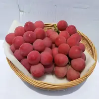 《丹选》妮娜皇后 3-3.5斤 2串  葡萄酒香 香甜口感 个别掉粒不售后