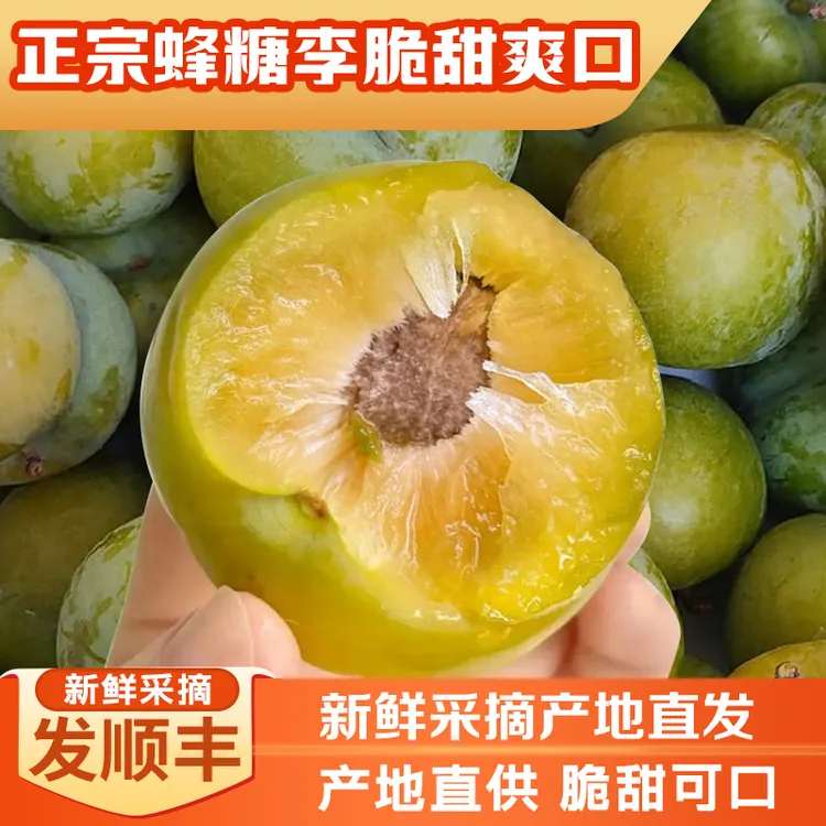 【顺丰快递】正宗蜂糖李脆甜李果园现摘现发口感细腻脱骨5斤装包邮