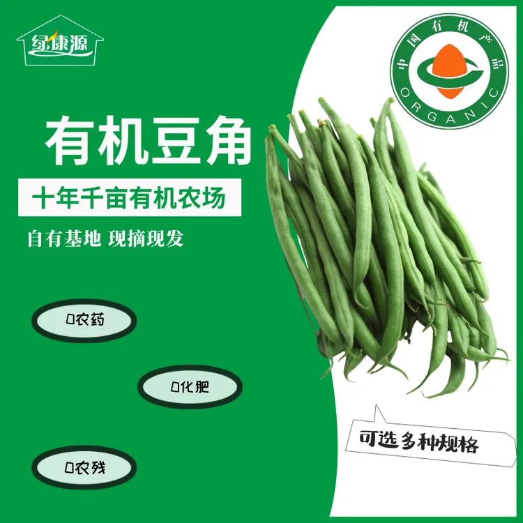 有机豆角（内蒙古绿康源有机农场）新鲜种植