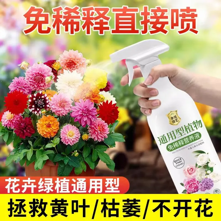通用型营养液花卉绿植免稀释营养液瓜果蔬菜叶面肥防烂根黄叶干尖