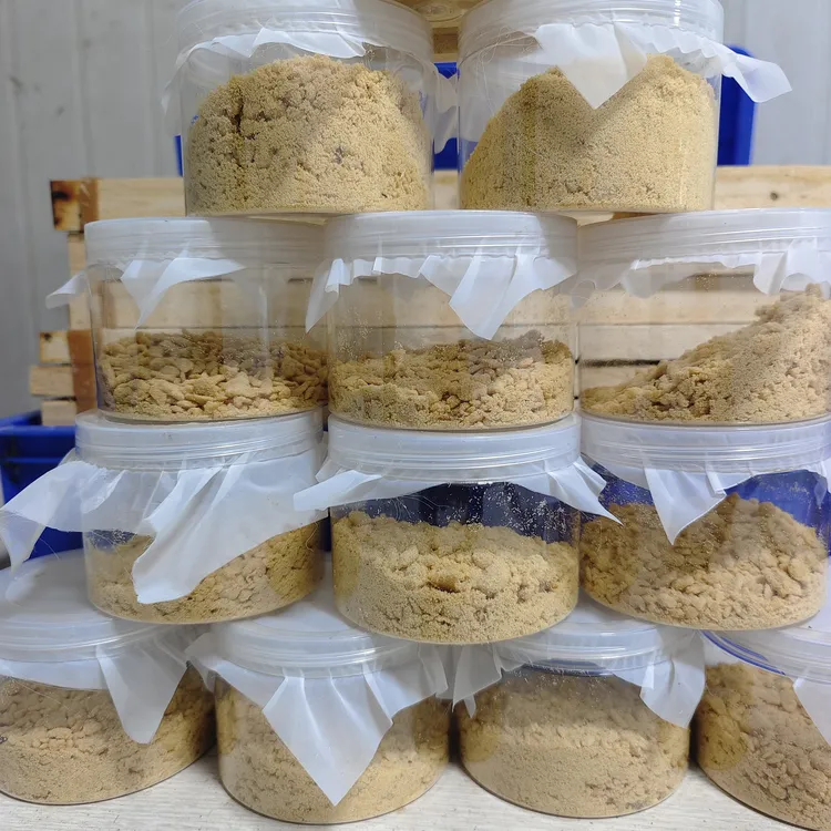 黑水虻卵，会养直接拍，新手可拍学习规格（下单后添加主播线下咨询）