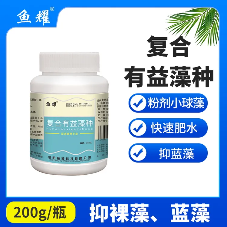 鱼耀复合有益藻种小球藻抑制蓝藻甲藻降氨氮降亚盐肥水净水产养殖