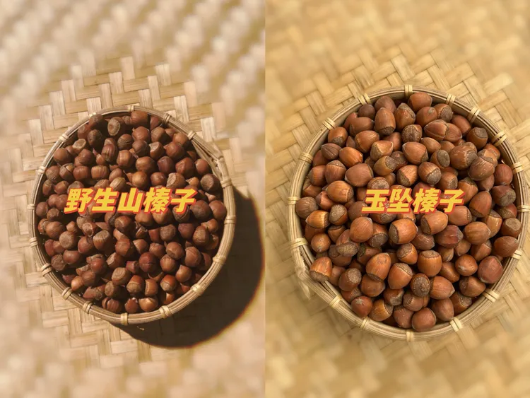 玉坠榛子2斤和手拍山榛子2斤（熟的共4斤）