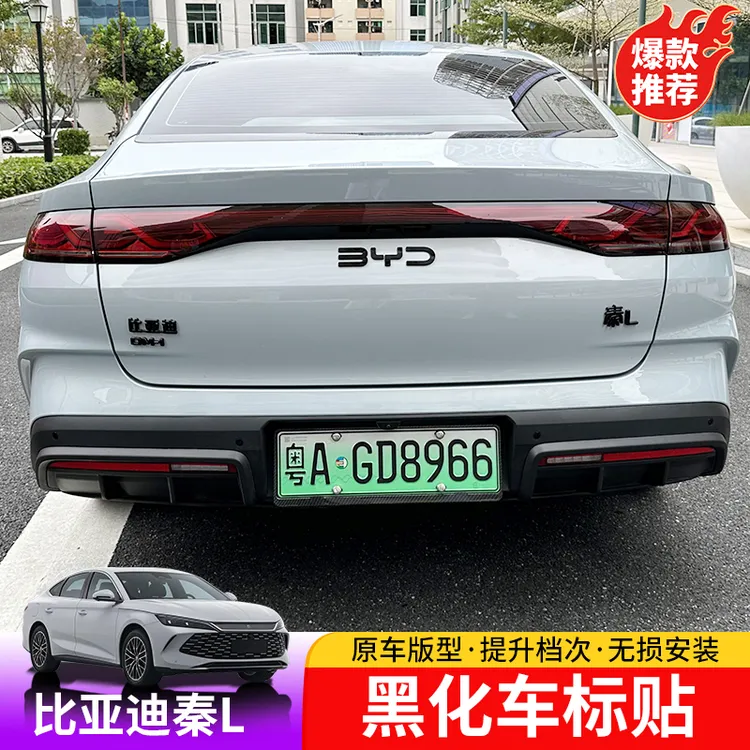 24-25款比亚迪秦Ldmi黑化车标贴BYD秦Lev外饰车标前后改装立体贴