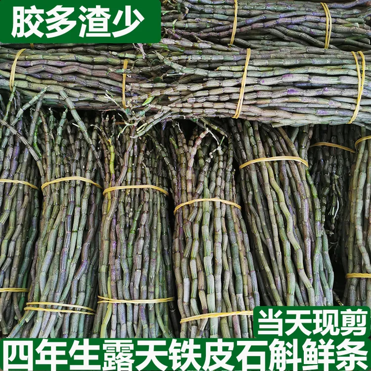 双十二好物云南石斛鲜条500克250克鲜石斛鲜条石斛花铁皮干条石斛