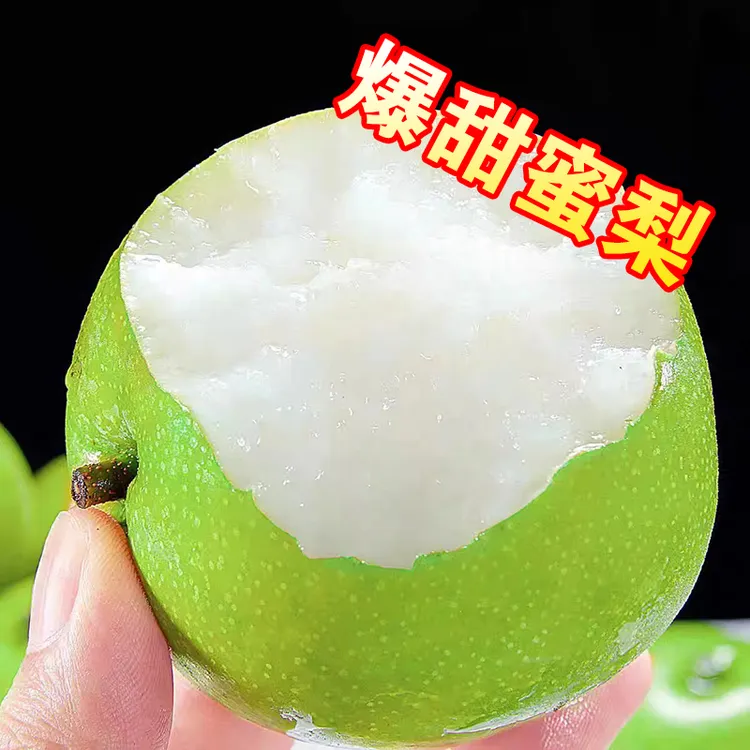 砀山青皮蜜梨脆甜无渣汁水新鲜水果梨砀山脆甜梨5斤/9斤
