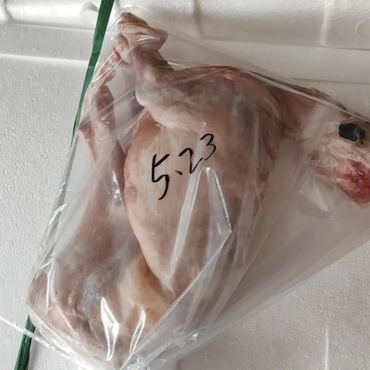鲁西南羊羔肉鲁西南羊羔肉