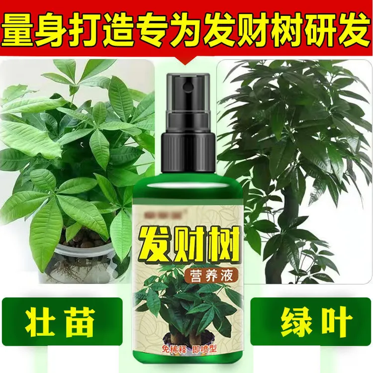 发财树专用肥一喷绿防黄叶烂叶免稀释烂根植物专用营养液免稀释-