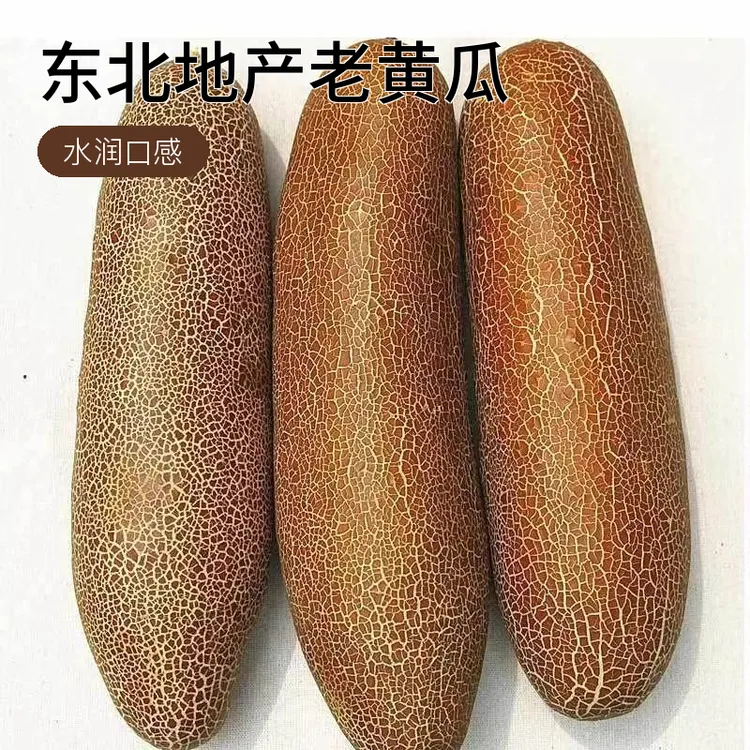 东北地产老黄瓜4-5斤/8-9斤