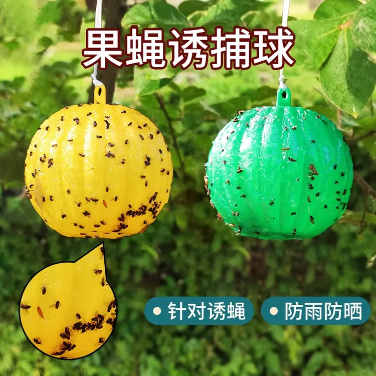 粘虫球瓜果园大小实蝇丝瓜柑橘大实蝇诱蝇球杀针蜂贴果蝇诱捕神器