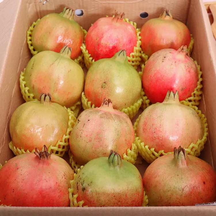 T会理突尼斯软籽石榴水果5斤当季新鲜水果产地直发石榴软籽石榴