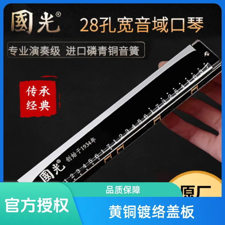 上海国光口琴28孔24孔复音c调重音成人儿童初学者通用专业演奏级