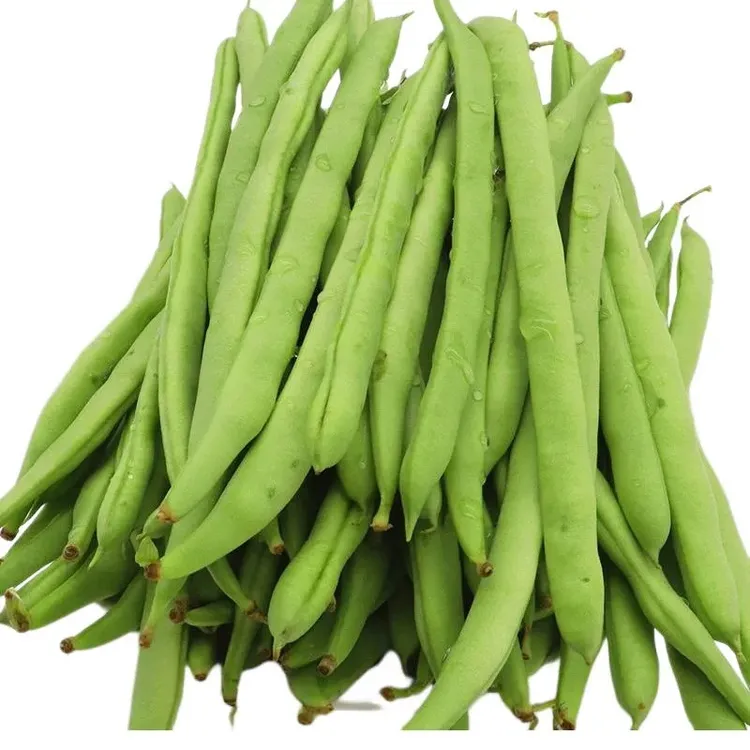 【现摘】云南施甸露天小筋豆四季豆新鲜时令便宜无筋豆芸豆新鲜蔬菜