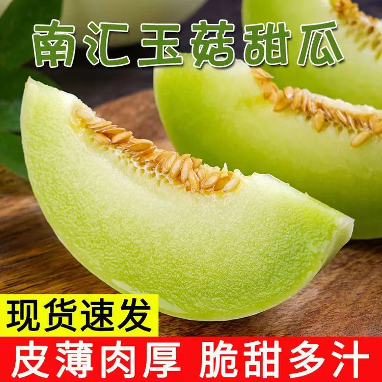 上海南汇冰淇淋玉菇甜瓜带箱10斤装香瓜新鲜时令软糯香甜
