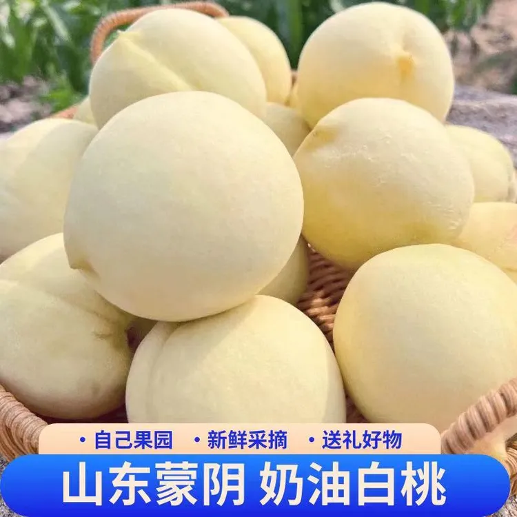 蒙阴白玉毛桃水蜜桃奶油白桃脆甜毛桃新水果现摘现发整箱包邮山东
