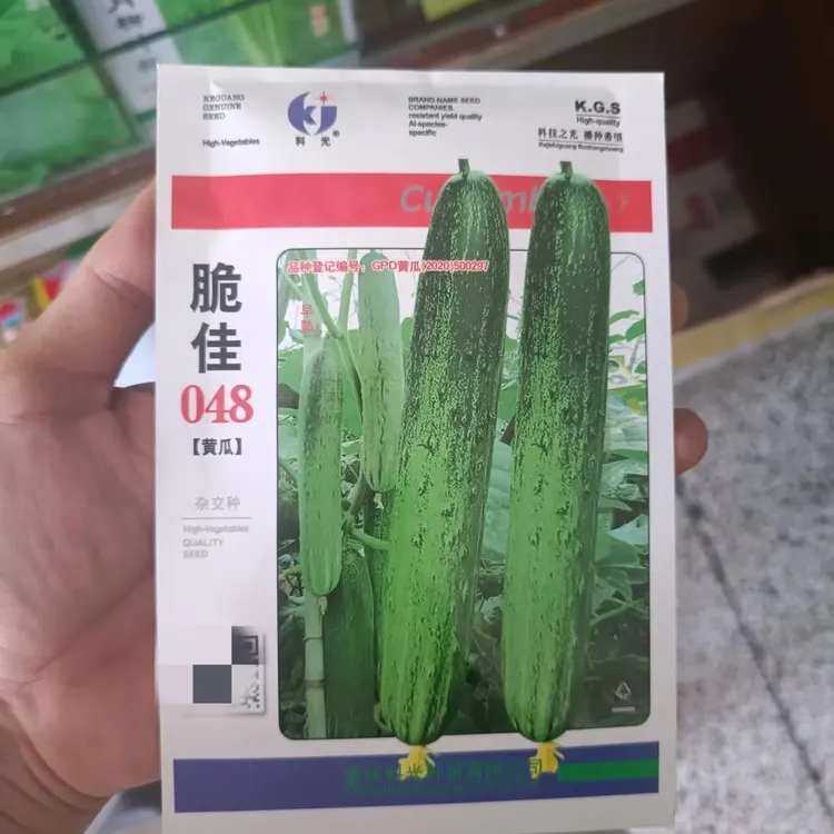科光脆佳048早熟黄瓜种子,瓜长25厘米结瓜能力强瓜条无苦味耐热