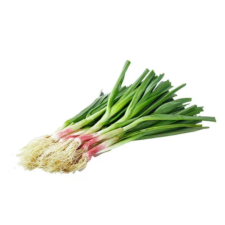 现挖新鲜露天红根蒜苗3斤/5斤