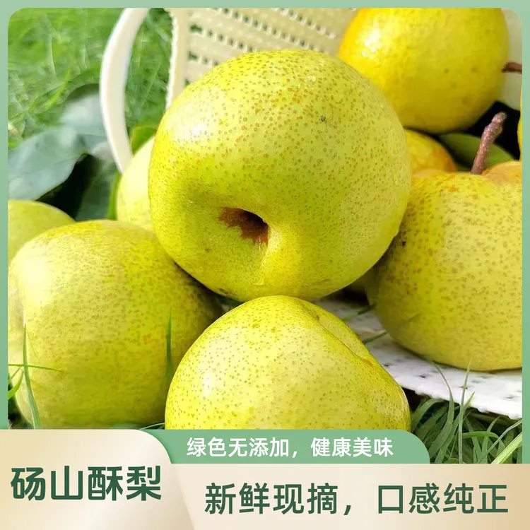 砀山酥梨 老梨树产地直发新鲜水果皮薄多汁现摘现发