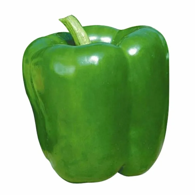 大甜椒种子青椒种籽灯笼椒四季播阳台盆栽农家庭院辣椒种子