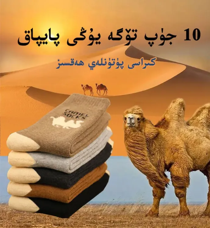  袜子男长筒高邦冬季加厚保暖  تۆگە يۇڭى  قىشلىق پايپاق 