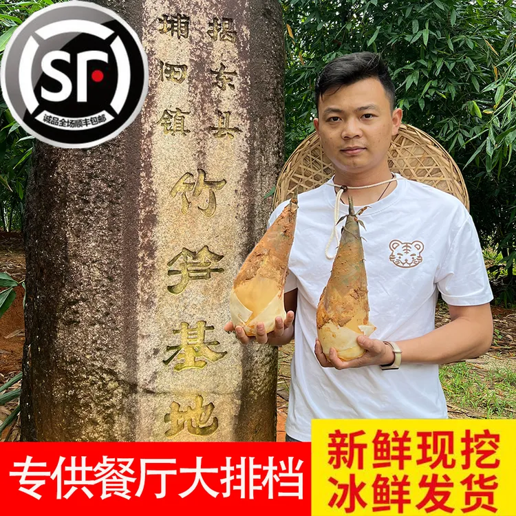 【全国顺丰包邮】潮汕埔田竹笋红土新鲜现挖嫩笋鲜嫩竹笋餐饮1斤