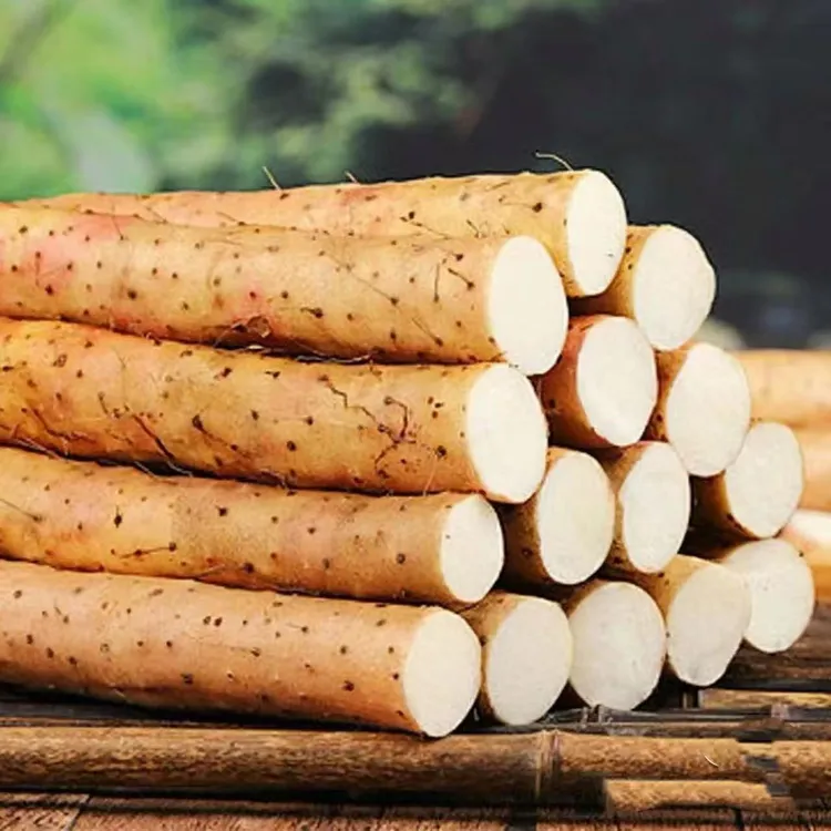 正宗铁棍山药软糯面甜营养健康产地直发