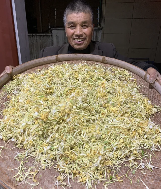 福建双花银花干花泡水煲汤喝50克100克250克1斤