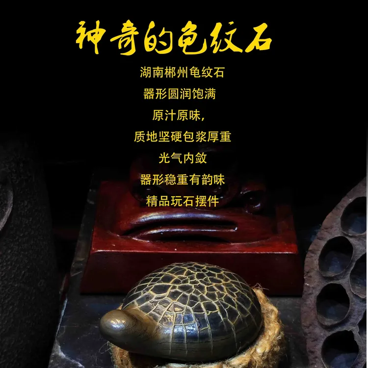 【龟纹石玩石摆件】中式禅意茶宠摆件家居客厅茶室茶桌装饰品31