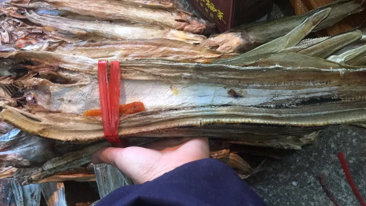 洞头特产淡干白鳗鱼干500克