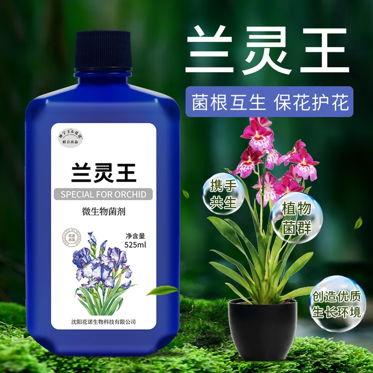 KUNNINGWANG/坤宁王养生茶兰灵王兰花专用营养液肥料EM菌君子兰蝴