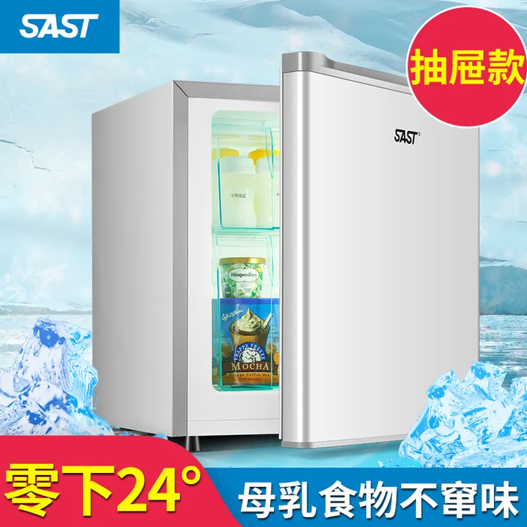 电冰箱小型冷冻母乳柜立式全冷冻冰柜家用冰箱