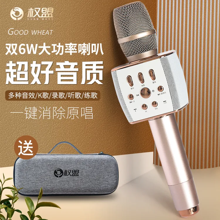 权盟靓声麦克风话筒音响一体无线蓝牙手机K歌家用车载唱歌神器