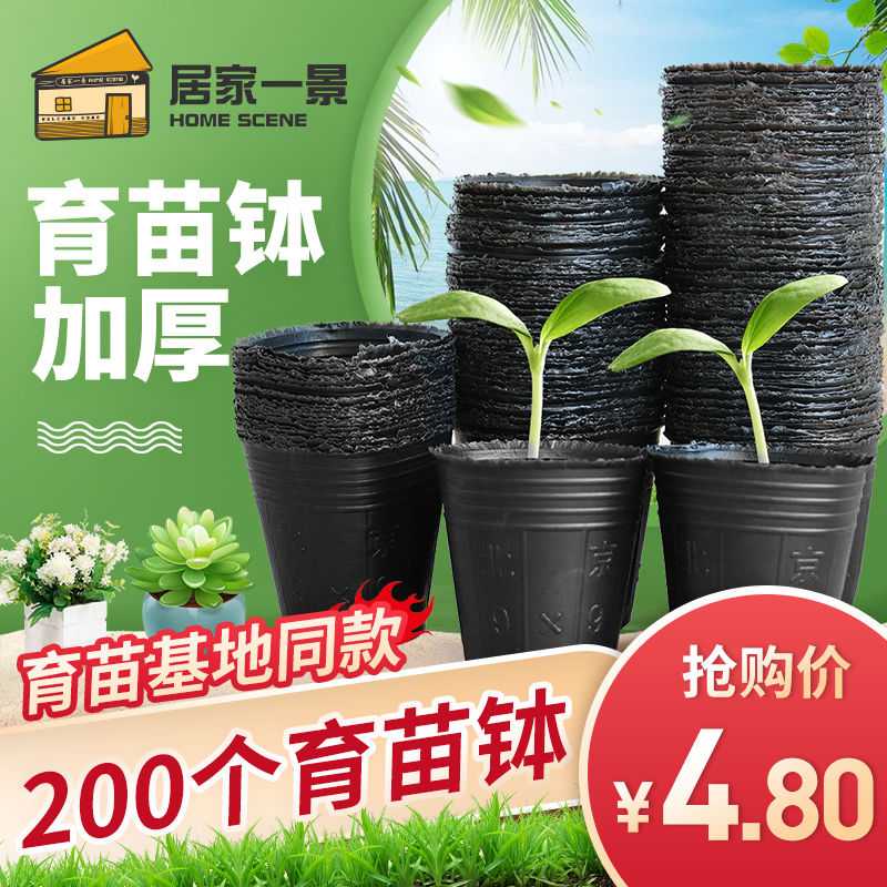塑料加厚育苗钵家庭植物育苗盘批发育苗园艺花卉营养杯厂家直销
