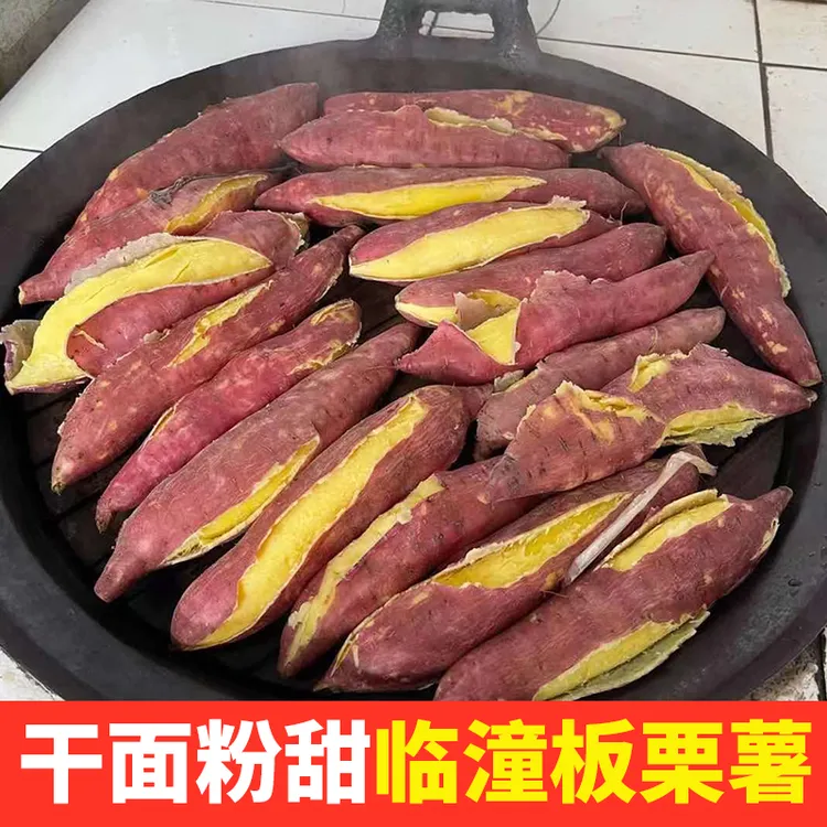（京东快递）陕西沙地板栗红薯5斤干面香甜烤红薯烟薯新鲜红薯