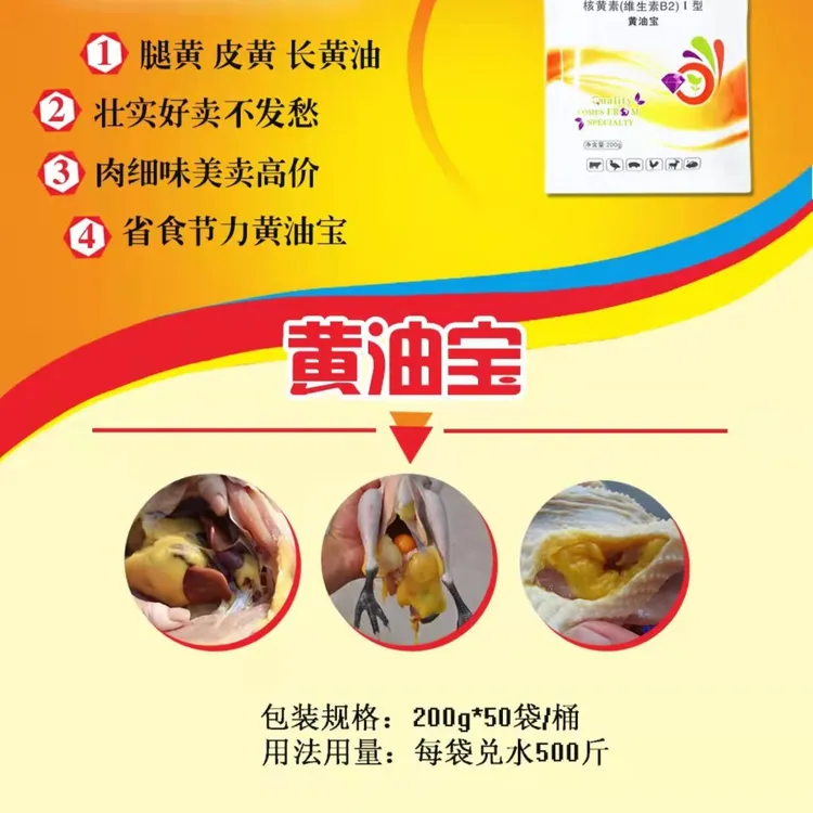 黄油宝肉禽专用长黄油腿改善肉质鸡漂亮好卖