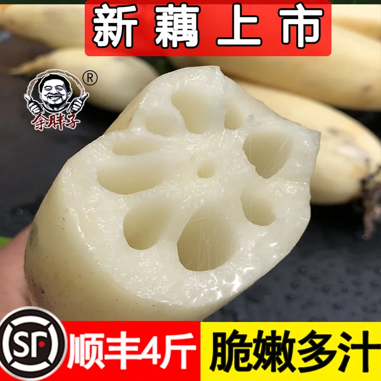 余胖子25年新藕湖北洪湖莲藕脆藕嫩藕新花藕水果藕4斤农产品农家