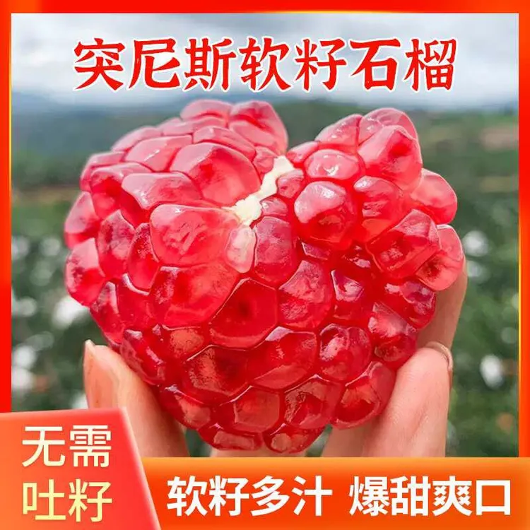 四川会理突尼斯软籽甜石榴应季新鲜采摘香甜饱满皮薄清甜孕妇水果