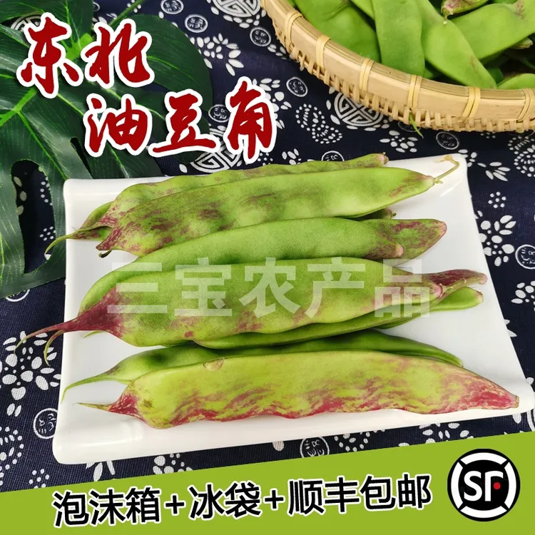 辽宁北镇油豆角 2/3/4斤 顺丰包邮一点红东北农家自产蔬菜