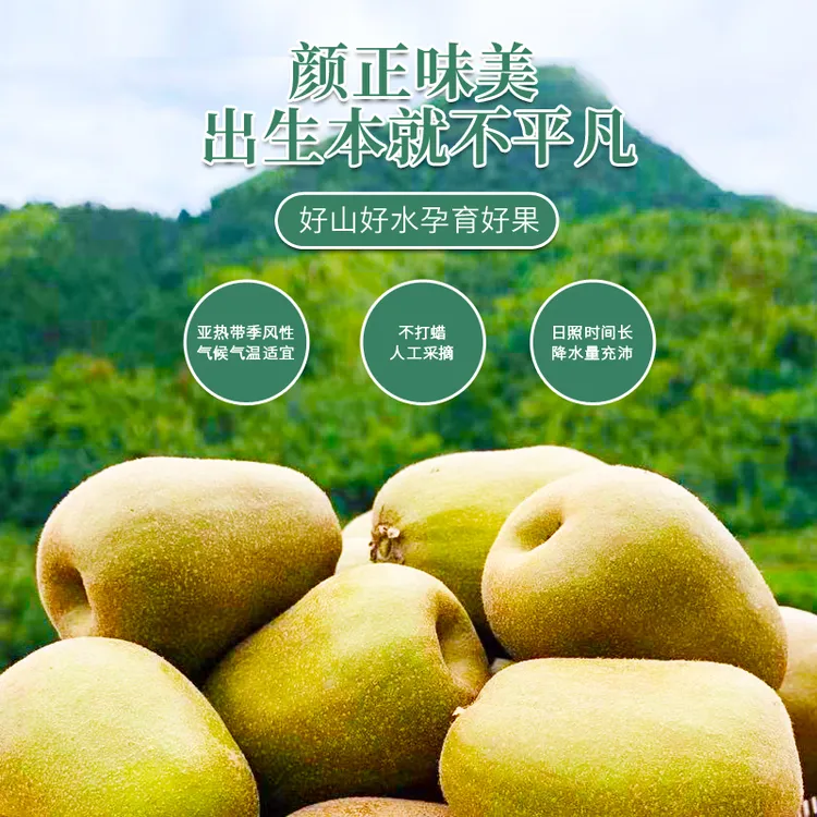 农家自种红心猕猴桃新鲜水果当季孕妇奇异果清甜爽口产地直发
