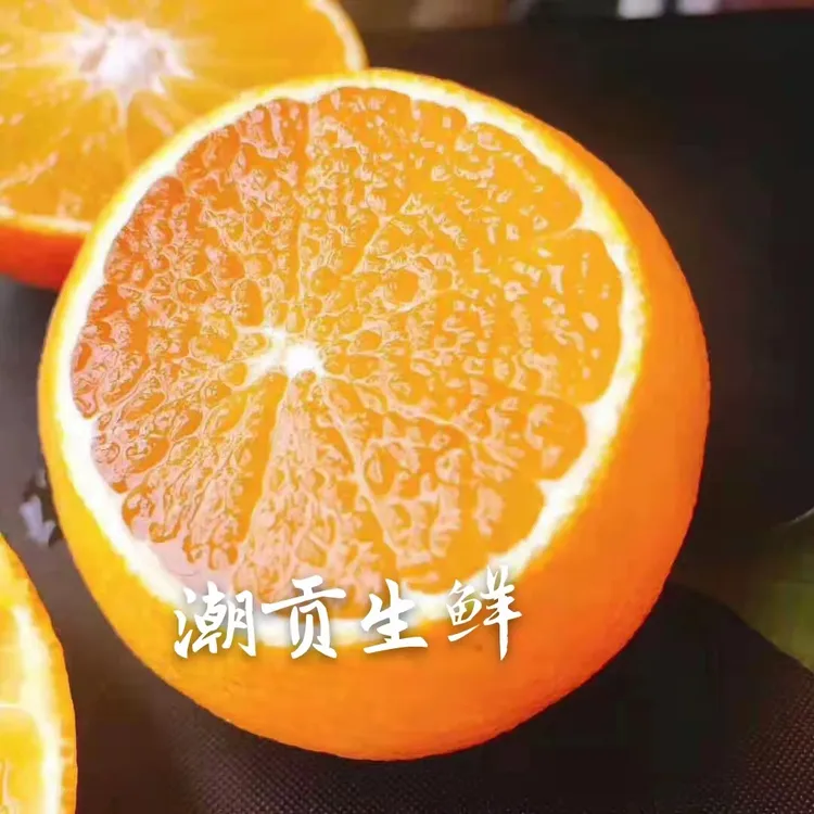 俞小鱼的鱼 宁波石浦 象山  红美人  5斤左右/箱多汁新鲜食用