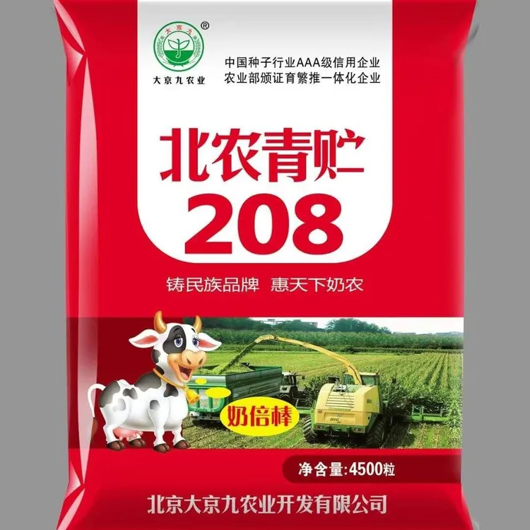 大京九青贮玉米北农208青储玉米种优质青饲青草玉米种子双棒高产