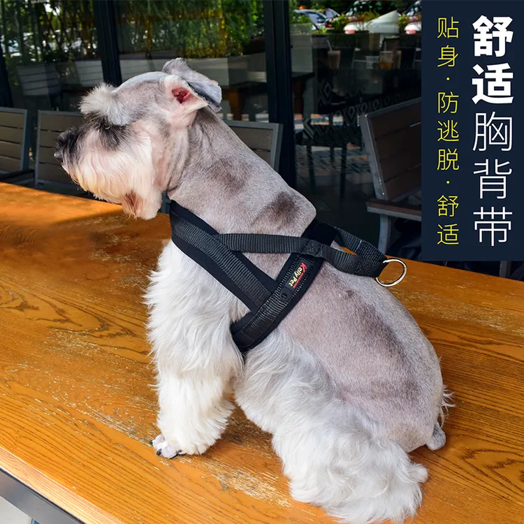 狗狗胸背带户外用品金毛法斗哈士奇拉布拉多雪纳瑞宠物牵引绳套装