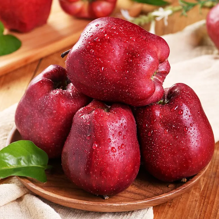 【自然搭档】甘肃天水花牛苹果3-8斤新鲜水果红苹果蛇果可脆可粉面