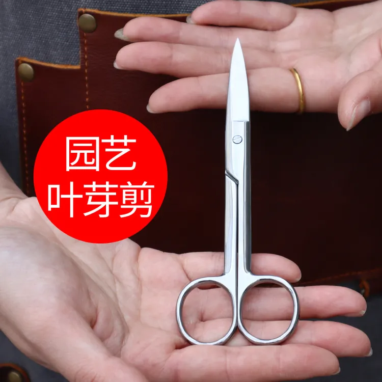 盆景修剪造型专用工具叶芽剪不锈钢兰花分苗剪刀修芽剪修枝芽切剪