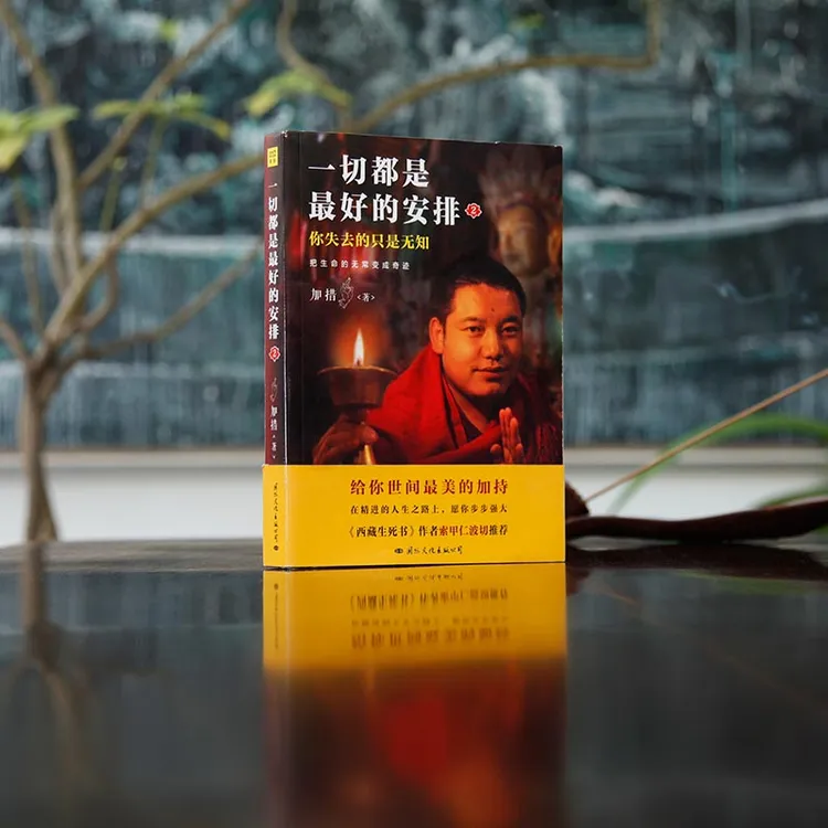 《一切都是zui好的安排2》把生命的无常变成奇迹