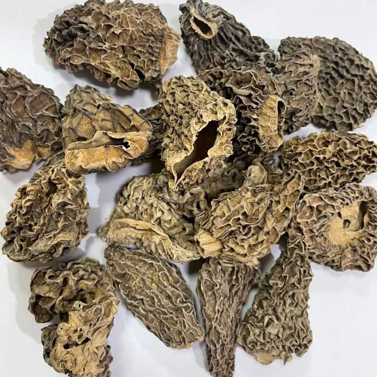 特优西藏羊肚菌正宗特级菌菇类干货食用农产品（大号）