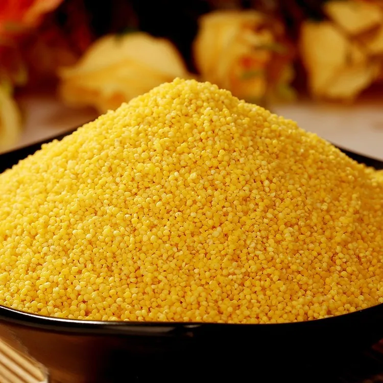 农家石碾黄小米月子米五谷杂粮小米粥米油粘稠散装称重5斤布袋装